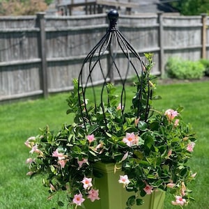 Wrought Iron 27" Beatrice Ball Topiary Flower Trellis,  Metal Plant Climber, Vegetable Garden Wire, Rustic Yard Sculpture , Round Trellis