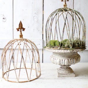 May include: Two white metal plant cages with gold finials. The larger cage is on a white pedestal and has green moss inside. The smaller cage is on a white wooden surface.