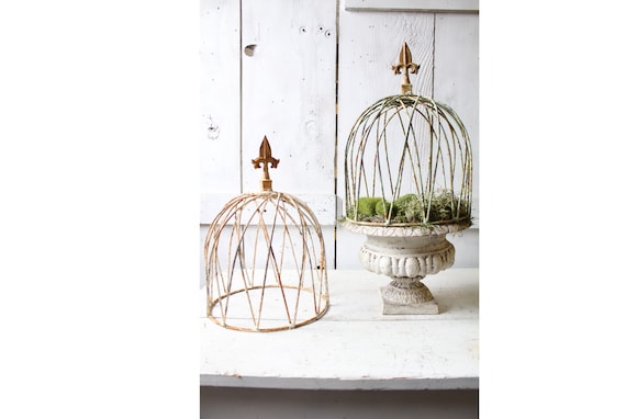 Rustic Wrought Iron Cloche, Topiary Trellis, Plant Climber (16 inch)