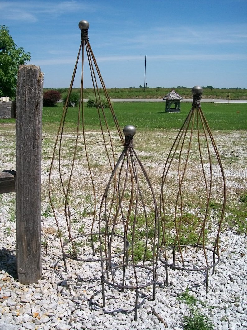 May include: Three metal garden plant cages with a rounded top and a circular base. The cages are made of thin metal rods and are designed to support climbing plants.
