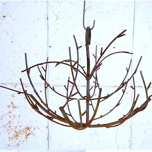 Wrought Iron 25&quot; Wide Hanging Tree - Rustic Metal Branch -  Outdoor Lawn Decoration Vineyard Decoration - Yard Art Bird Perch - Patio Decor