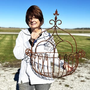 Large 28" Vera Wrought Iron Wall Basket Planter