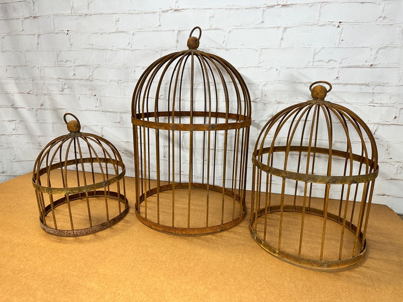 A Rustic Garden Bird Cage Cloche - Thumbnail 3
