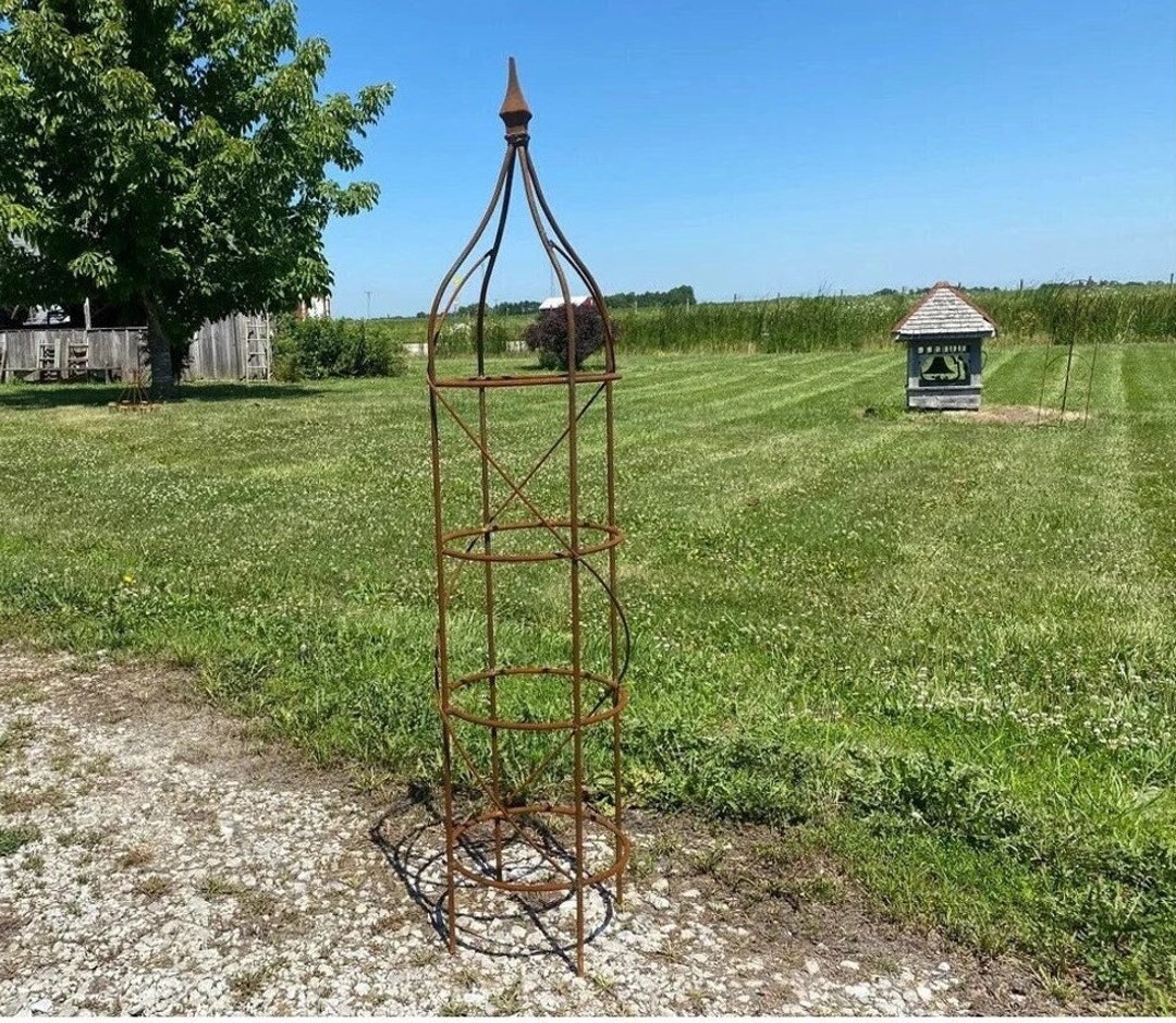 Rustic Metal Garden Obelisk, Rose & Vine Trellis, 53