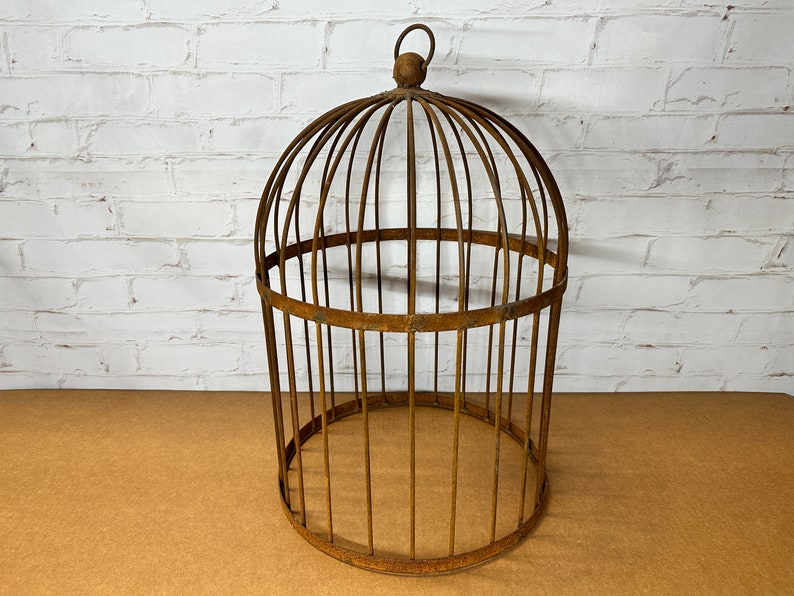 A Rustic Garden Bird Cage Cloche - Thumbnail 5
