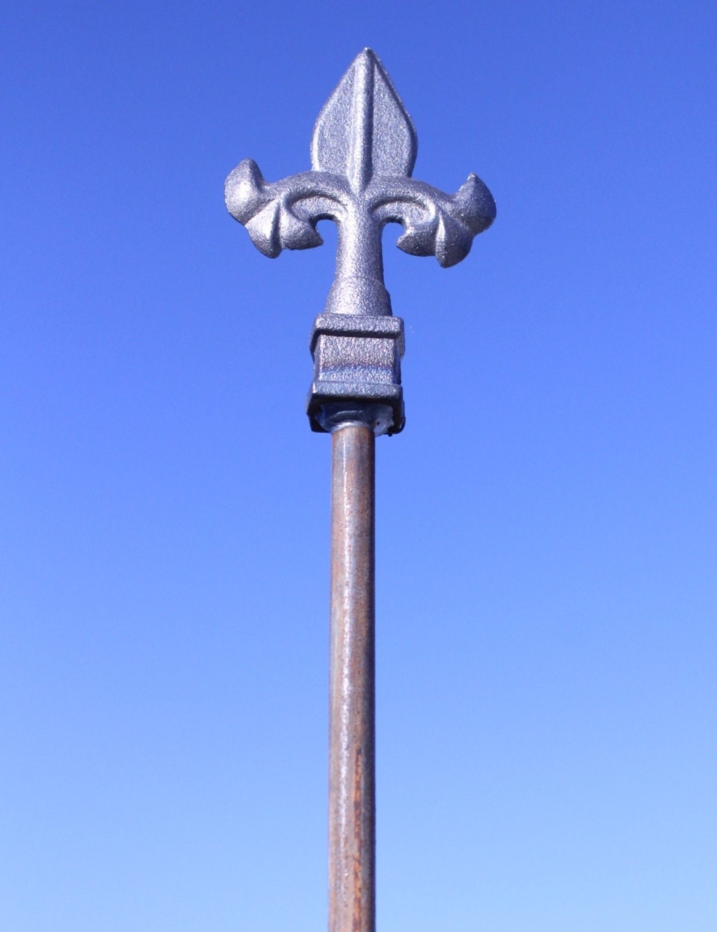 Wrought Iron 18'' Hose Guard Stakes With Fleur De Lis Finial, Set of 4 ...