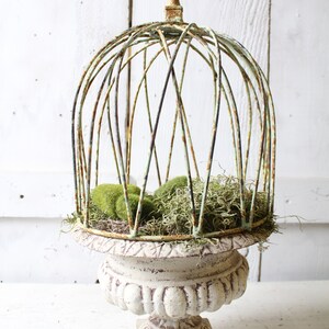 May include: A white ceramic planter with a decorative base and a wire cage top. The cage is decorated with a gold finial and filled with green moss.