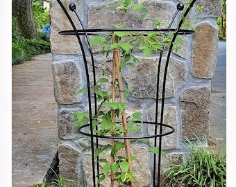 22" Tall Wrought Iron Bella Topiary Peony Support - Tomato Cage Flower Trellis