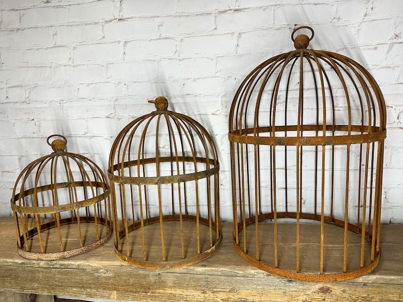 A Rustic Garden Bird Cage Cloche - Thumbnail 2
