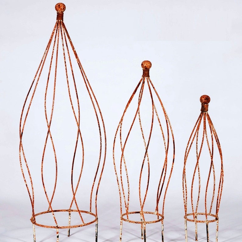 May include: Three rust-colored metal plant cages of varying sizes. The cages are made of thin wire and have a rounded, teardrop shape. The largest cage is about 3 feet tall, the middle cage is about 2 feet tall, and the smallest cage is about 1 foot tall.