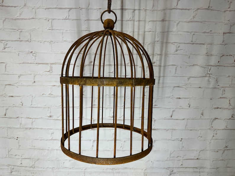 A Rustic Garden Bird Cage Cloche