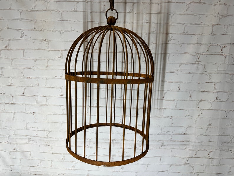 A Rustic Garden Bird Cage Cloche - Thumbnail 4