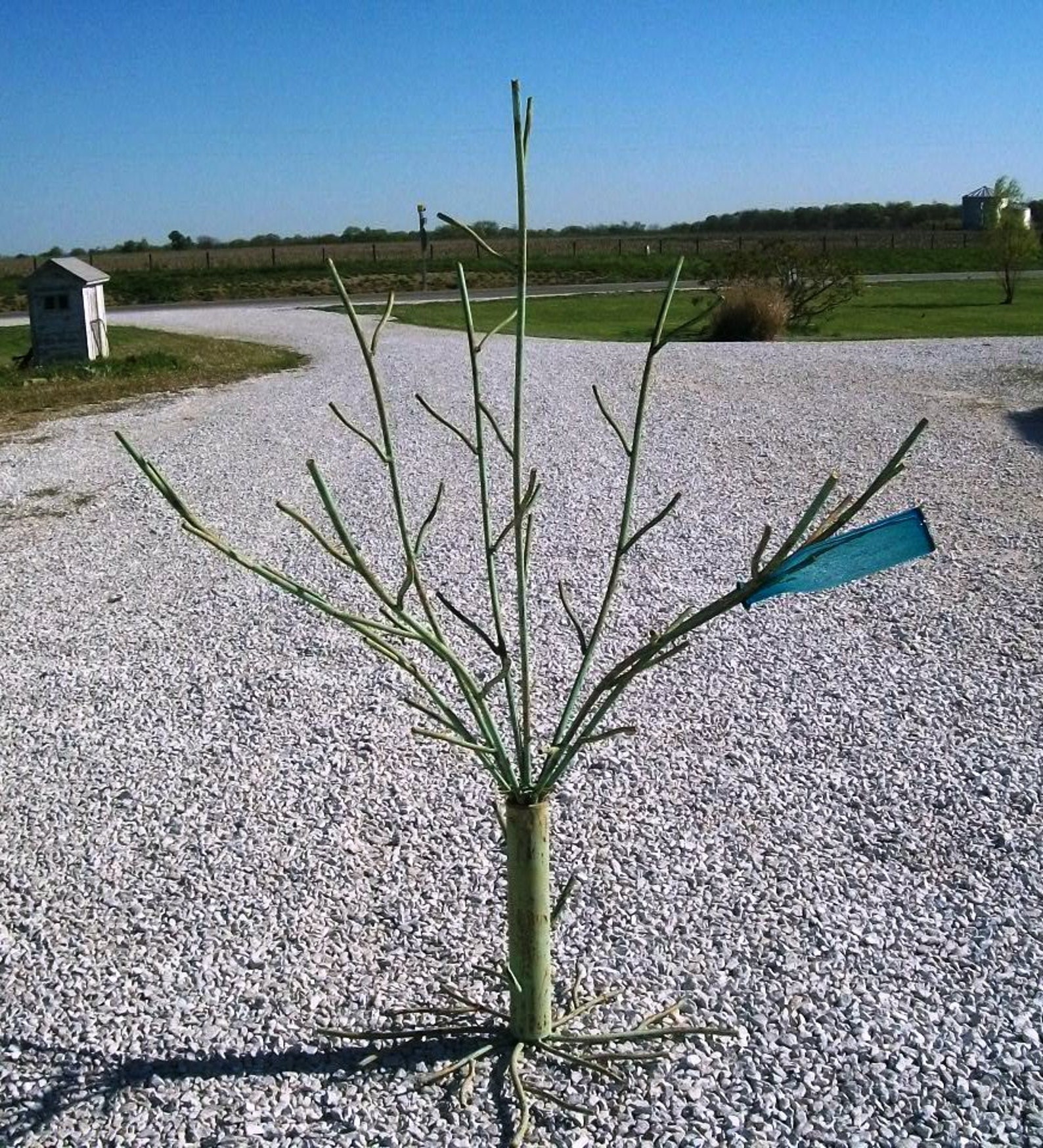 Huge 70t Wrought Iron Bottle Tree Woodsy Yard Decoration Etsy