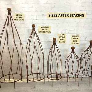 May include: Five different sizes of metal plant cages, ranging from 18.5 inches to 43 inches tall. The cages are made of twisted metal and have a rounded top. The cages are labeled with their size and name, including "LG Bali", "Med Bali", "SM Bali", "Bernice", and "Beatrice". The text "Sizes After Staking" is displayed at the top of the image.