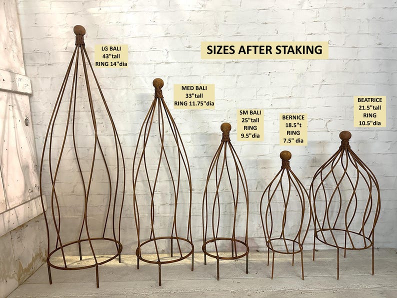 May include: Five different sizes of metal plant cages, ranging from 18.5 inches to 43 inches tall. The cages are made of twisted metal and have a rounded top. The cages are labeled with their size and name, including "LG Bali", "Med Bali", "SM Bali", "Bernice", and "Beatrice". The text "Sizes After Staking" is displayed at the top of the image.