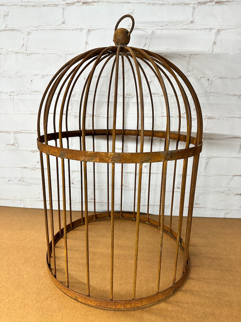A Rustic Garden Bird Cage Cloche