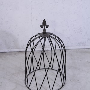 May include: A black metal plant cloche with a decorative finial on top. The cloche is made of wire and has a round shape.