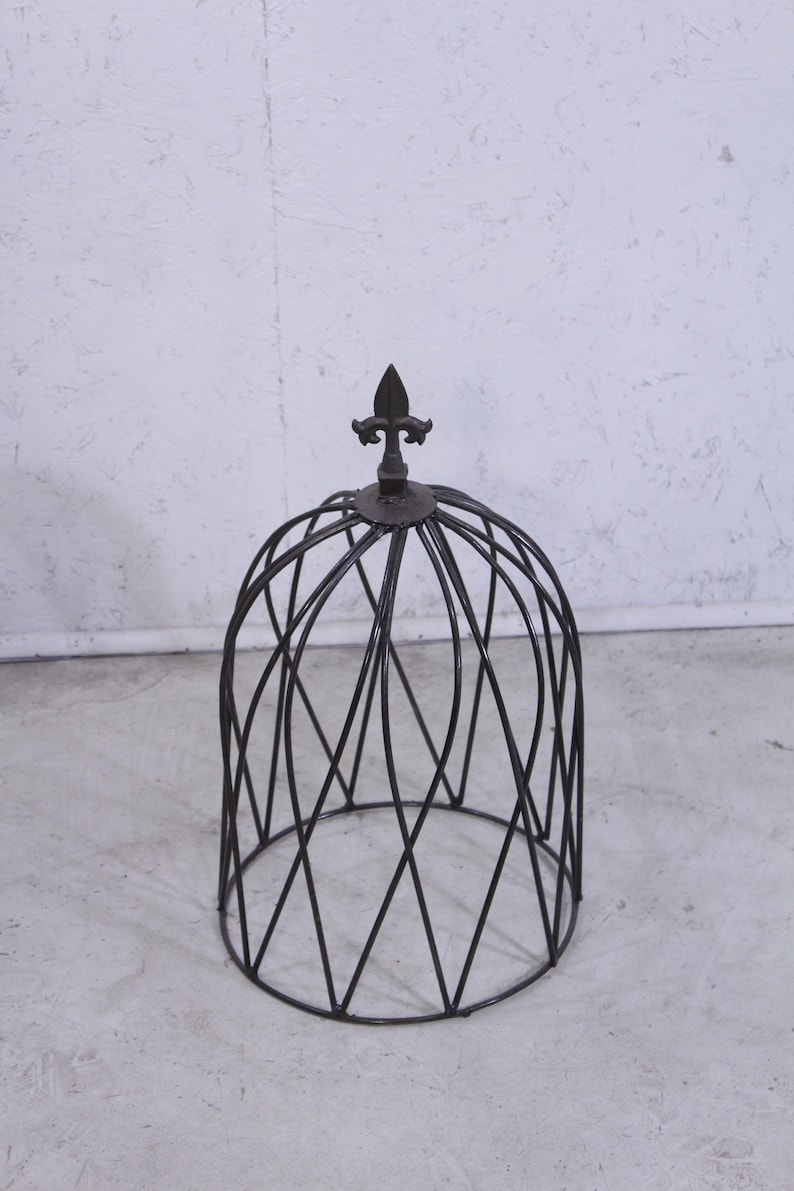 May include: A black metal plant cloche with a decorative finial on top. The cloche is made of wire and has a round shape.