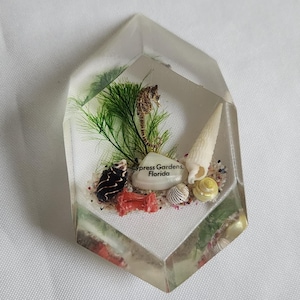 Vintage Cypress Gardens Seahorse & Seashells Clear Acrylic Lucite Paperweight --- Retro Florida Souvenir Beach Under the Sea Home Decor