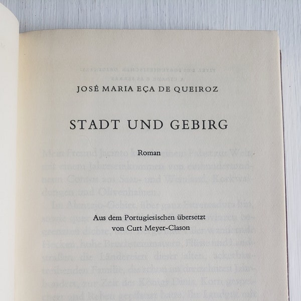 Stadt und Gebirg by Jose Maria Eca De Queiroz - The City and The Mountains in German - Vintage Classic Literature Paris High Society Book