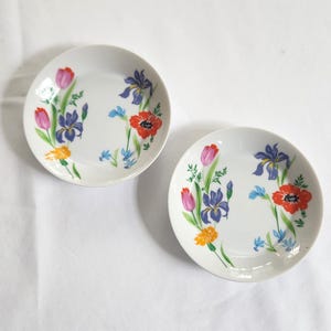May include: Two white ceramic plates with floral designs. Each plate features a colorful arrangement of red, purple, blue, and yellow flowers. The plates are round and appear to be vintage.