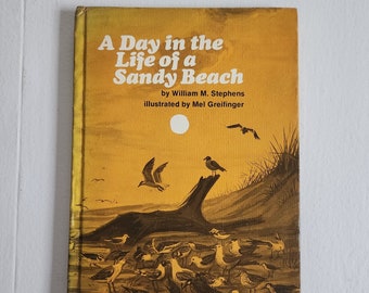 The Day in the Life of a Sandy Beach by William M. Stephens - Illustrated by Mel Greifinger -- Vintage 1970s Children's Coastal Science Book