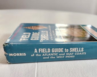 A Field Guide to Shells of the Atlantic and Gulf Coasts by Percy A. Morris --- Vintage Peterson Field Guide Series --- Beachcomber Book