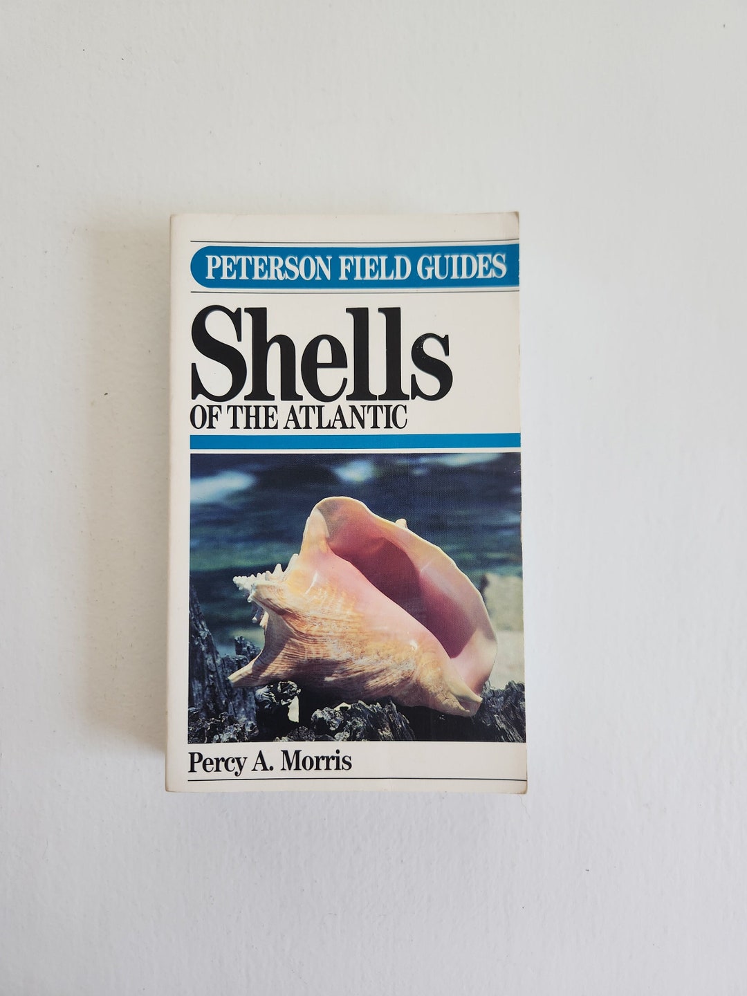 Shells Field Guide A Field Guide to Shells of the Atlantic Gulf Coasts & West Indies by ...
