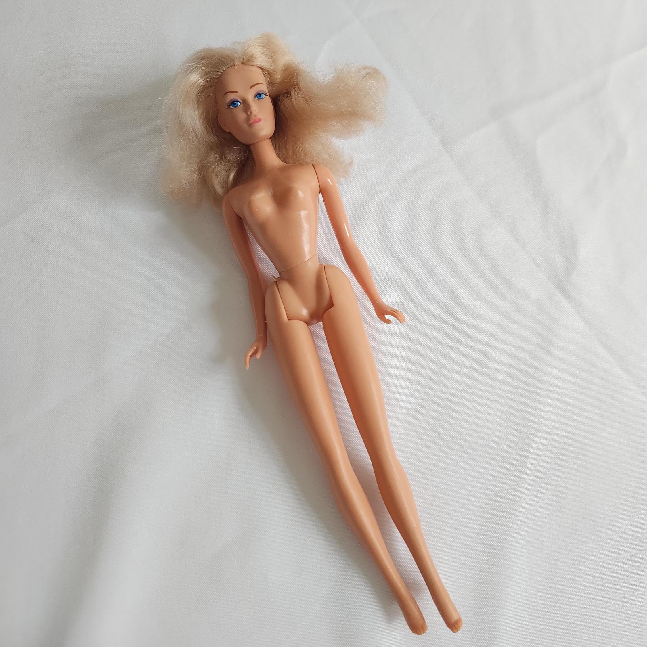 The candi ドール　fashion doll The candi ドール fashion doll