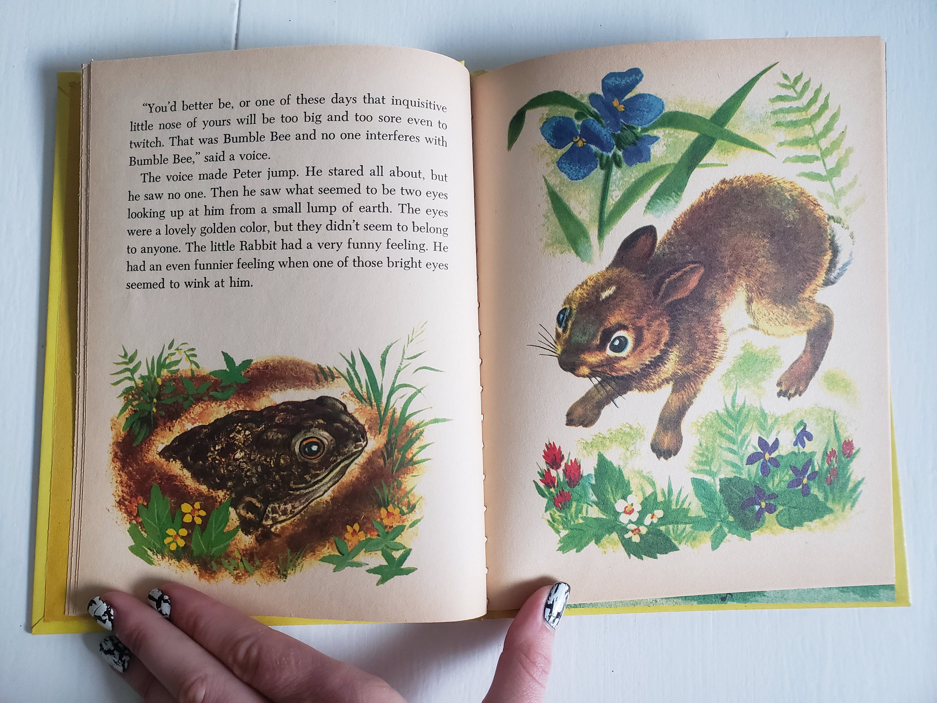 Little Peter Cottontail Por Thorton W Burgess Ilustrado Por Etsy