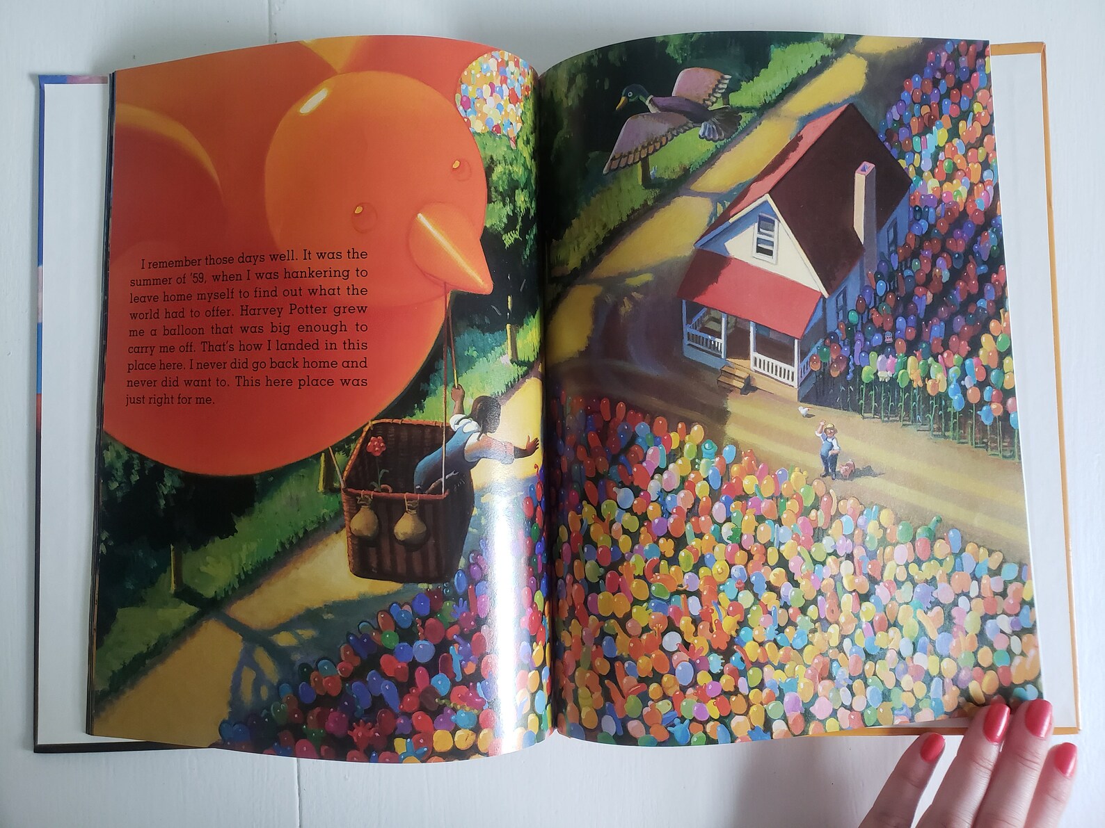 Harvey Potters Balloon Farm par Jerdine Molen Illustré par Etsy