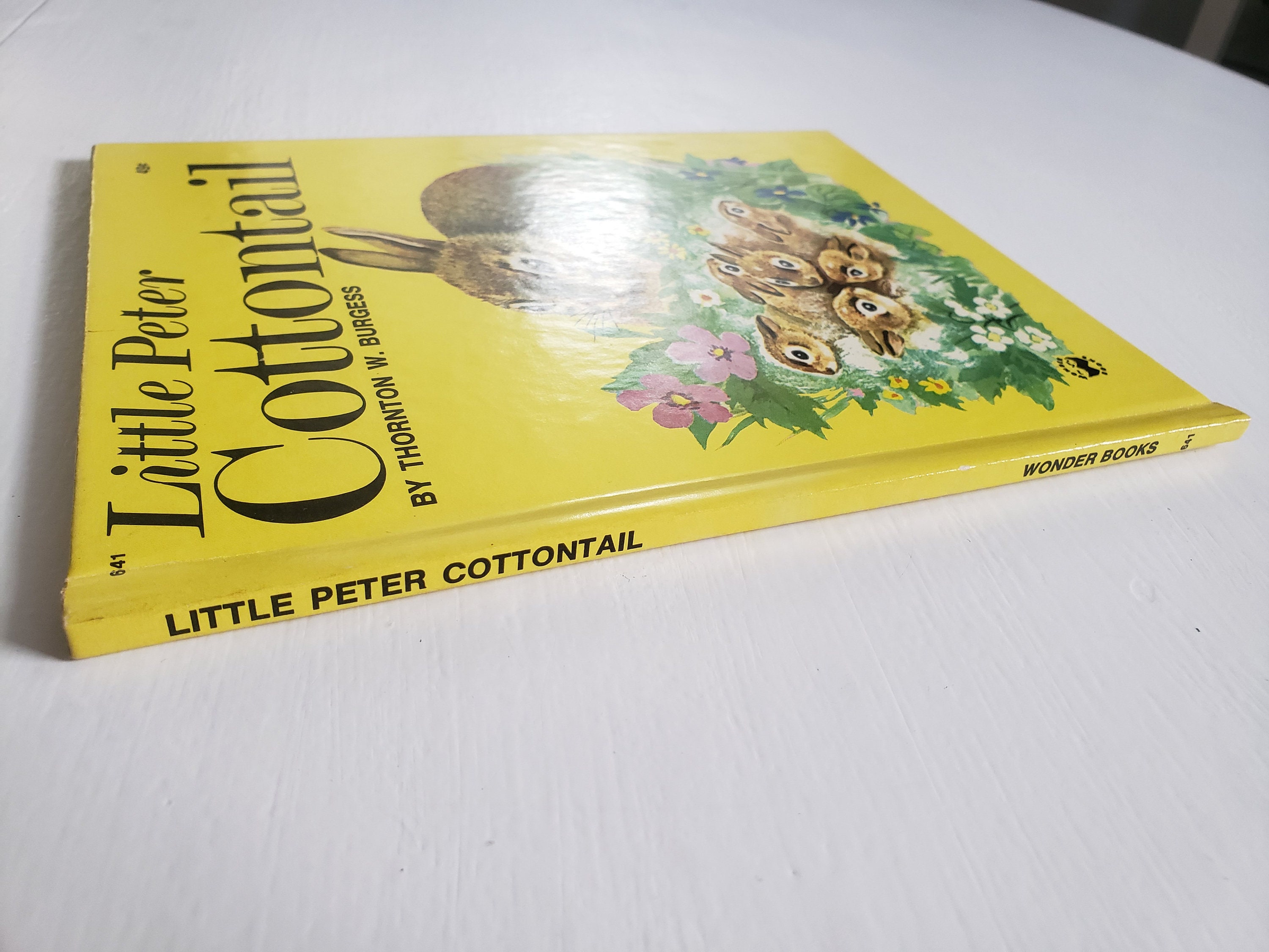 Little Peter Cottontail Por Thorton W Burgess Ilustrado Por Etsy