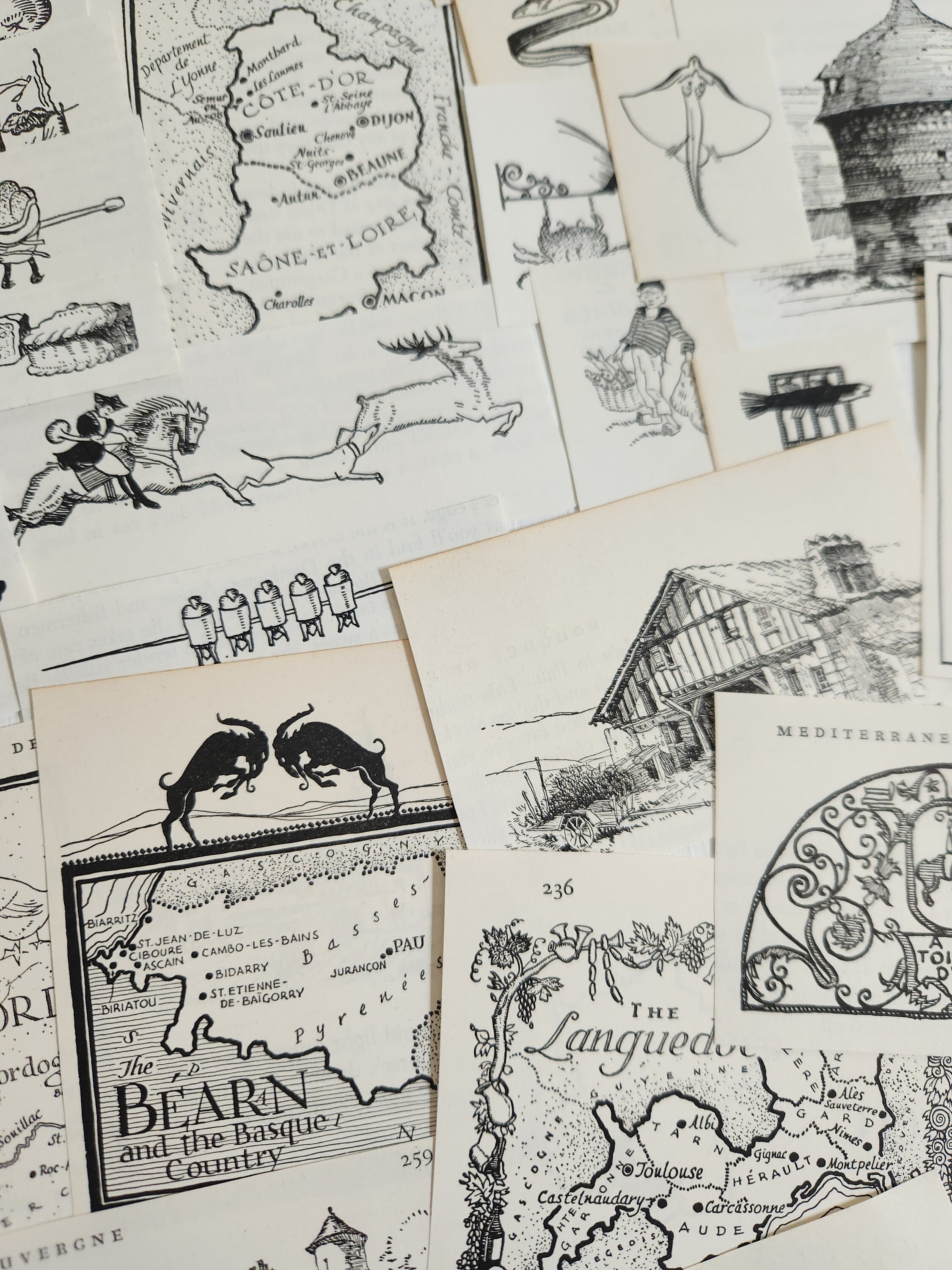 Vintage Black & White Illustrations From Bouquet De France