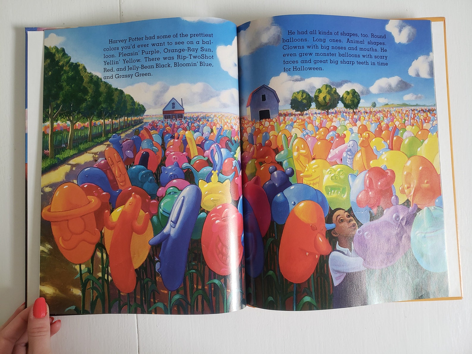 Harvey Potters Balloon Farm par Jerdine Molen Illustré par Etsy