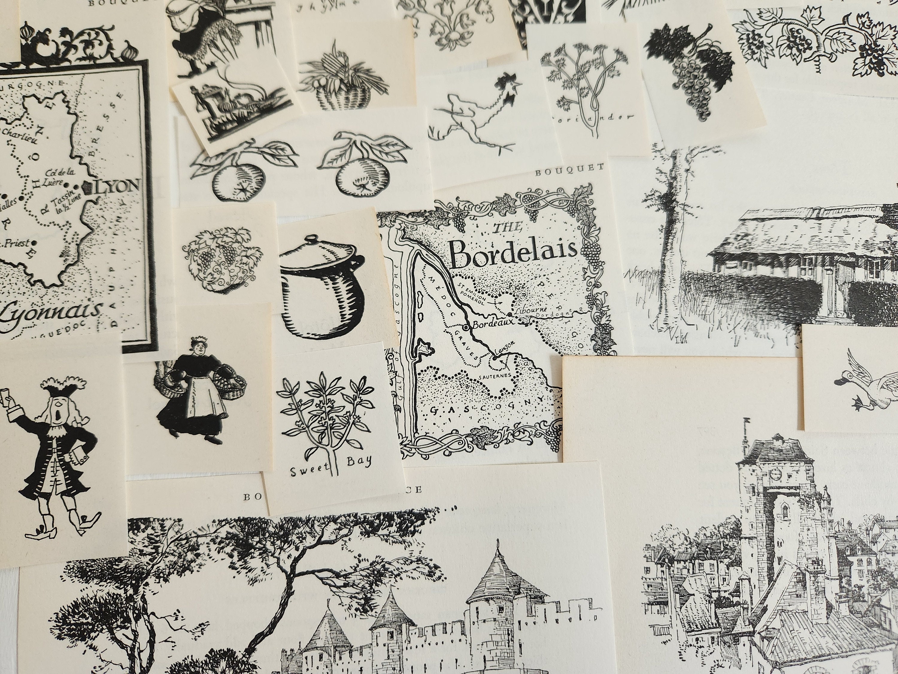 Vintage Black & White Illustrations From Bouquet De France