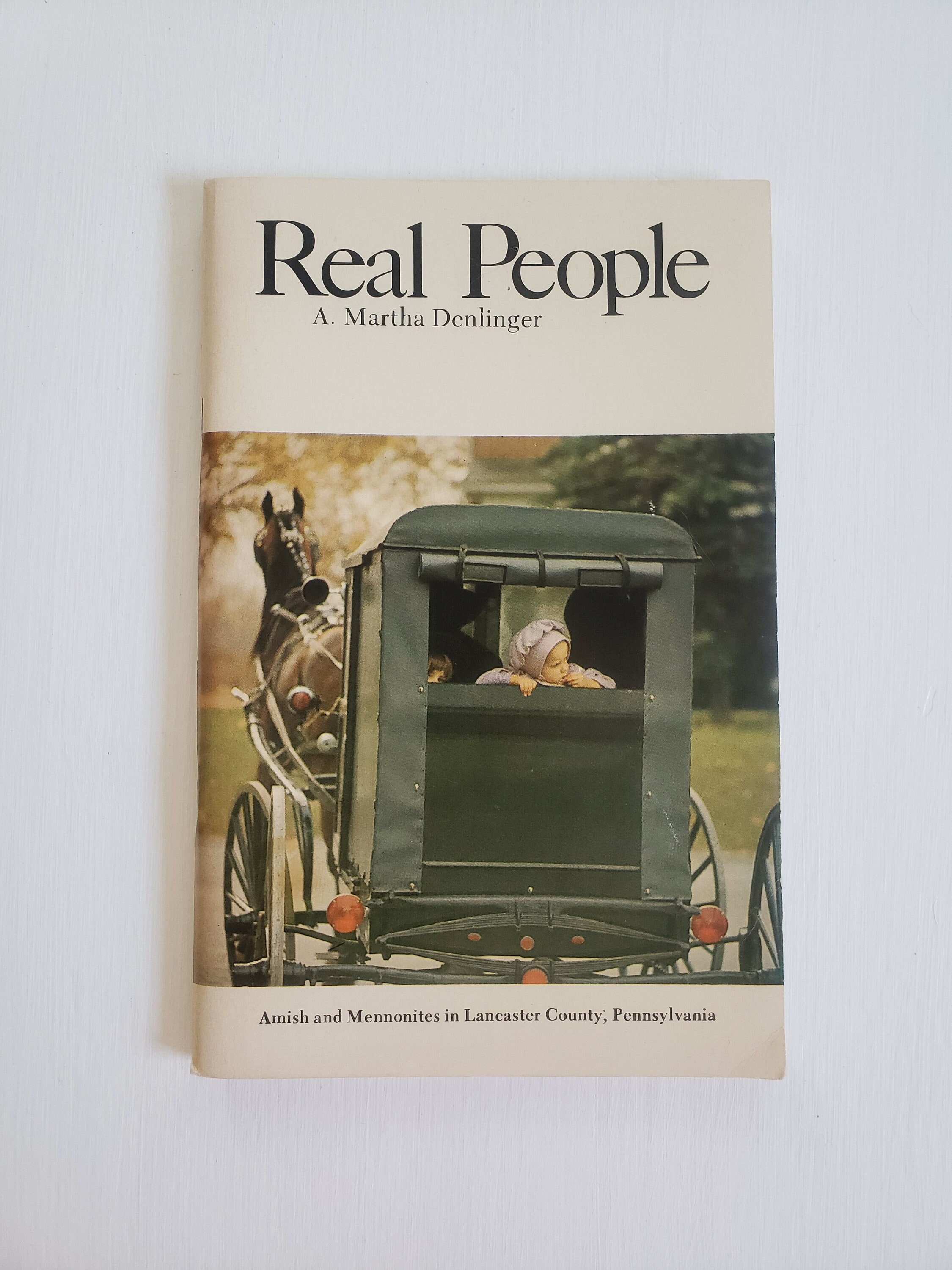 Real People Amish and Mennonites in Lancaster County - Etsy