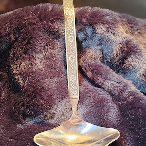 May include: A silver ladle with a floral design on the handle. The ladle has a wide, shallow bowl and a long, slender handle.