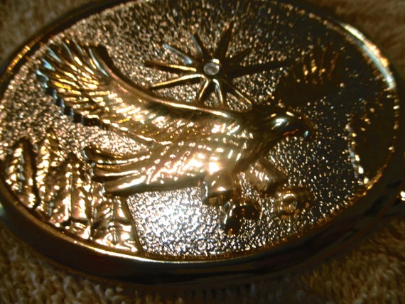 Vintage Soaring Eagle with Sun "Diamond" on Top o… - image 5
