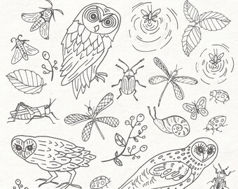 Owl Clip Art Bundle // Beautiful Hand Drawn Owl Clipart, Cute Owl Illustrations, Owl Graphics, Owl PNG Files, Moth Dragonfly Insect Download