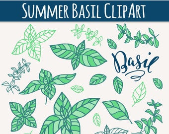 Botanical Clipart, Basil Clipart, Herb Clipart, Basil Clip Art, Digital Clip Art, Summer, Herb, Garden, Kitchen, PNG, Vector, Commercial Use