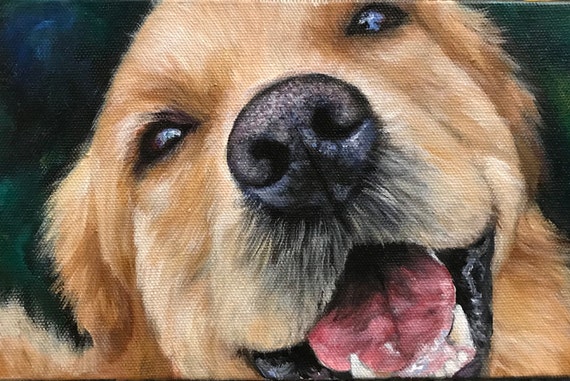 Pet Portrait With Solid Background Custom Dog Painting Etsy