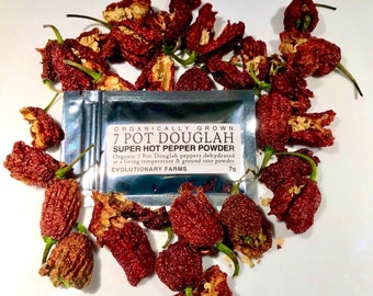 7 Pot Douglah - Organically Grown Super Hot Pepper Powder - Artisan Food Gift - Gourmet Food - Limited Edition