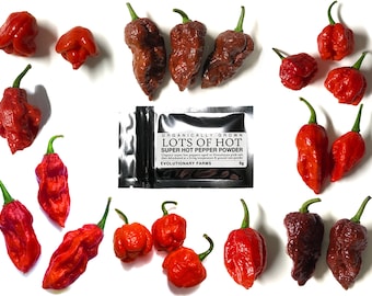 Organically Grown Super Hot Pepper Powder – Artisan Food Gift