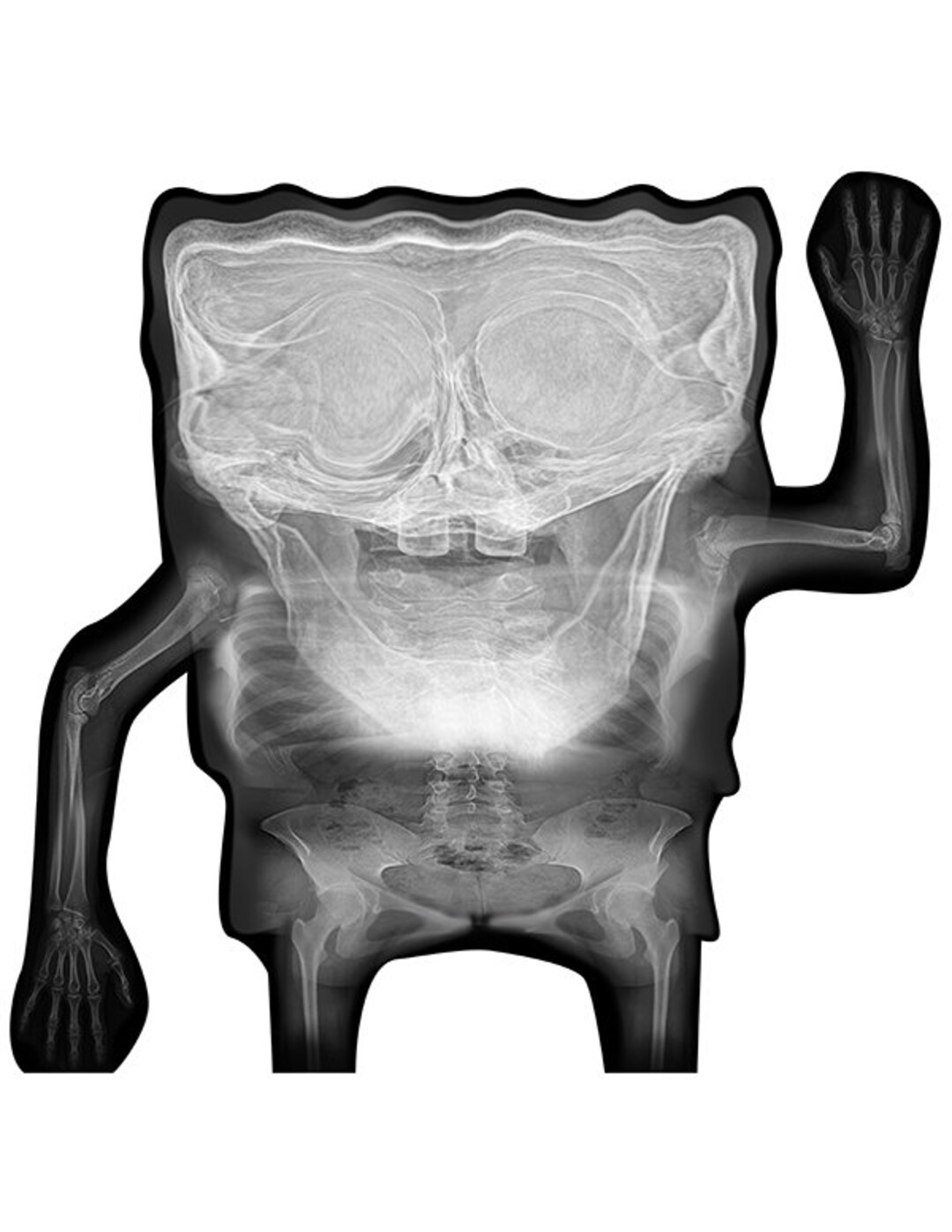 Spongebob Xray Iron on Tshirt Transfer Etsy