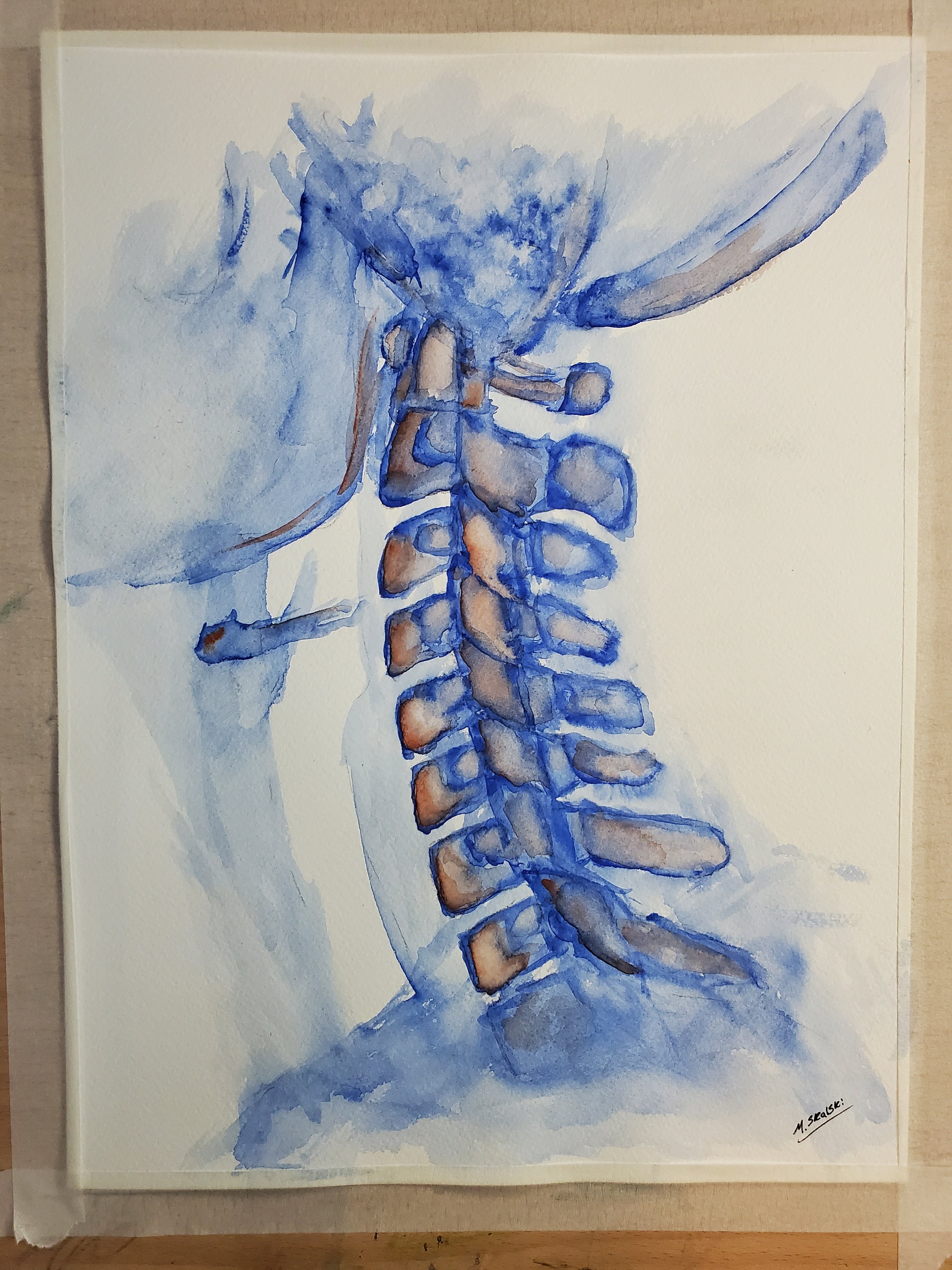 Abstract Cervical Spine Watercolor Painting - Fine Art Print - Etsy