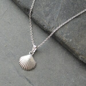 May include: A silver seashell pendant necklace. The pendant is a detailed, textured seashell design. The necklace chain is delicate and silver. The necklace is displayed on a grey stone surface.