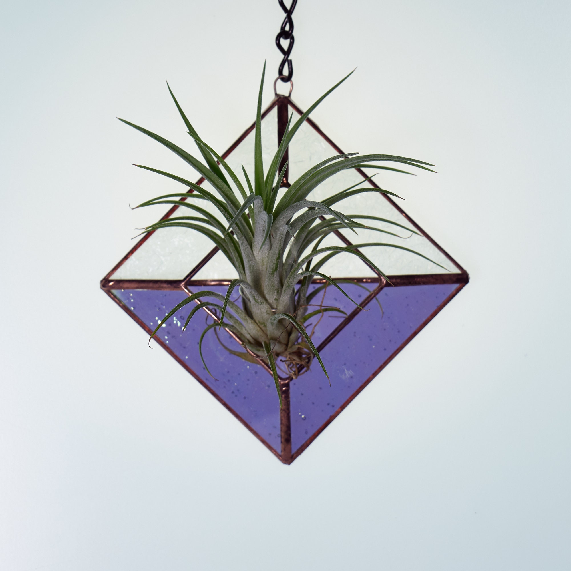 Stained Glass Hanging Wall Planter Air Plant Holder Dried Etsy UK