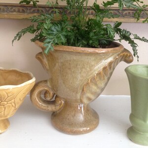 May include: A brown ceramic planter with a fluted design and a handle. The planter is filled with a green fern plant.