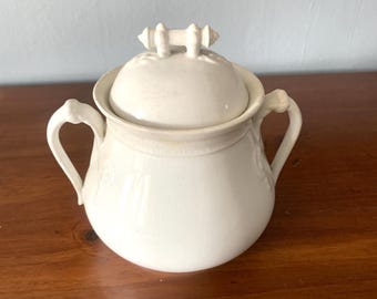 Amazing Victorian Ironstone Lidded Jar/Bridgewood and Sons