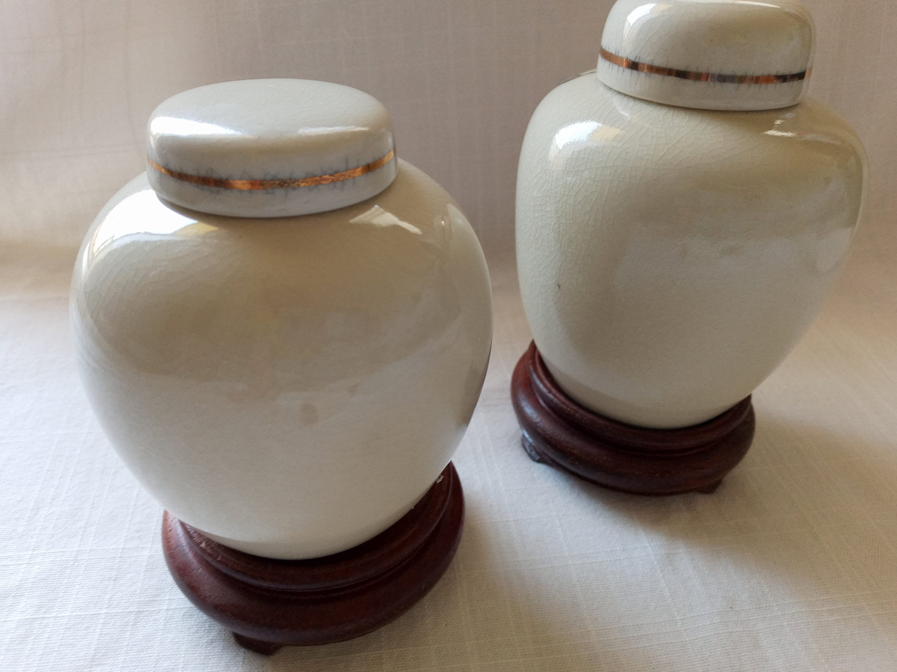 Vintage Pair of Japanese Ginger Jars With a Art Peacock and Flowers